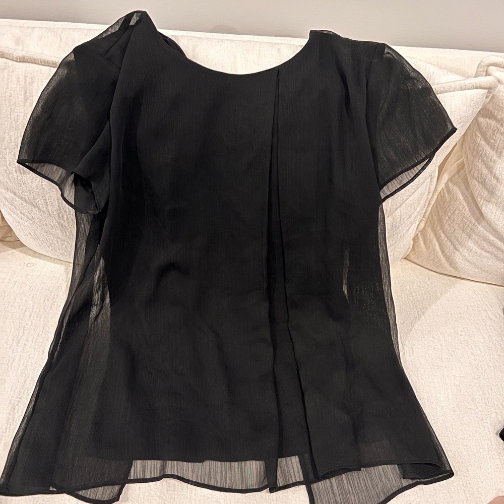 Elegant Black Sheer Lines Women's Top